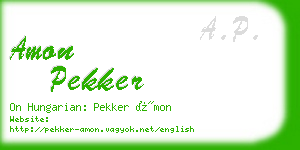 amon pekker business card